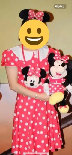 Dハロ、ミニーマウスコスチューム