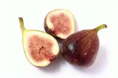 まゆみばぁば様 リクエスト 2点 まとめ商品