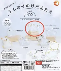 うちの子のけだまだま　プードル