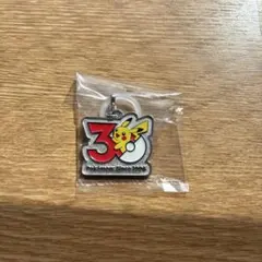 ポケモン30周年 メタルチャームマスコット めじるしアクセサリー　ピカチュウ