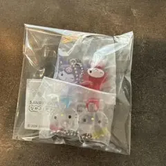 サンリオキャラクター なかよしドロップチャーム 2個セット