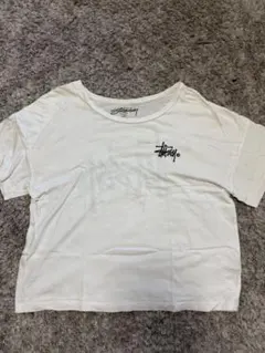 STUSSY クロップドTシャツ ホワイト Sサイズのサムネイル