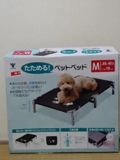 Item thumbnail for item 054ccb87-ebc0-4fef-b93a-be3c14c4e662