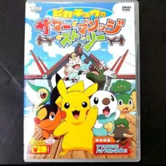 ぴかちゅう様 リクエスト 2点 まとめ商品