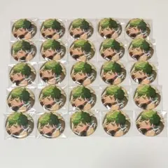 あんさんぶるスターズ あんスタ 小鹿ジュイス 缶バッジ 25点