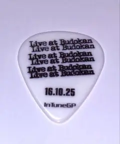 Night Ranger ギターピック FAREWELL JAPAN 武道館