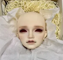 星間学寮 マクシミリアン ヘッドのみ