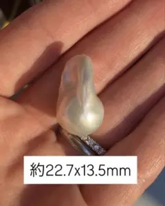 #440-13【上下貫通穴あり】淡水バロックパール 約22.7x13.5mm