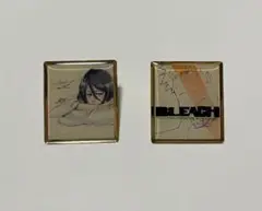 BLEACH EX. ピンズ2点　黒崎一護　朽木ルキア
