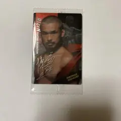 RIZINウエハース25 扇久保