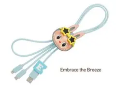 POPMART HAND IN HAND ラブブ USB ケーブル