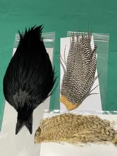 2025年最新】ハック グリズリーの人気アイテム - メルカリ