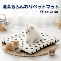 Item thumbnail for item a1549dbc-0df2-4b1e-9bcd-385a9dd20081