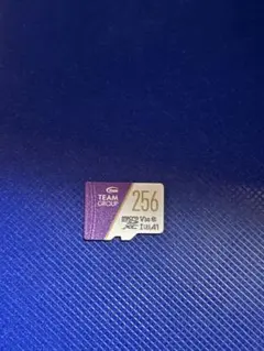 micro SDXC 256㎇ V30 ／A1 (1点)