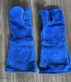 Item thumbnail for item 0ed28307-8318-4ba7-b62a-a3fd34e33f46