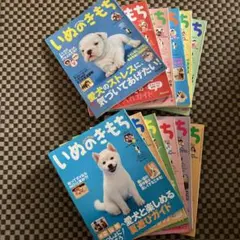 いぬのきもち　2024年　1年分　まとめ売り　12冊 2025年最新】いぬのきもち12冊の人気アイテム - メルカリ