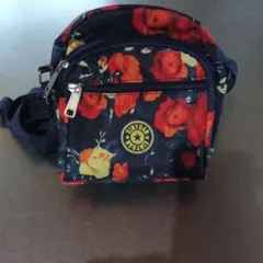 Item thumbnail for item 18e9d8e6-279f-4e9e-95b7-86546291ada6