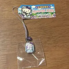 2026年最新】函館限定キティの人気アイテム - メルカリ