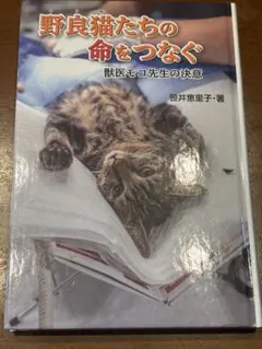 野良猫たちの命をつなぐ 獣医モコ先生の決意 笹井恵里子