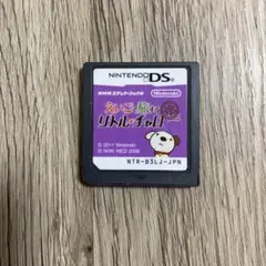 えいごで旅するリトルチャロ ニンテンドーDS
