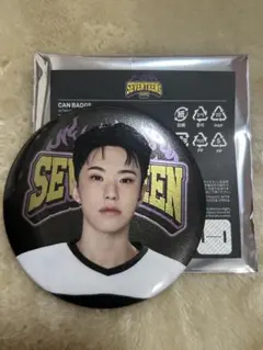 SEVENTEEN ホシ 缶バッジ HOME