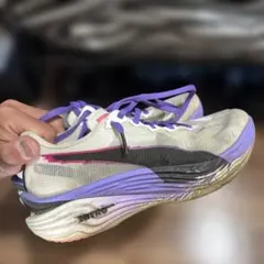 Item thumbnail for item 494346b9-3944-4c91-bd1e-04e14ffcbb3a