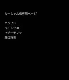 ちーちゃん様専用ページ