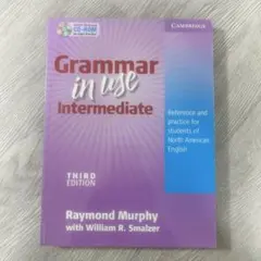 Grammar in Use Intermediate 第三版