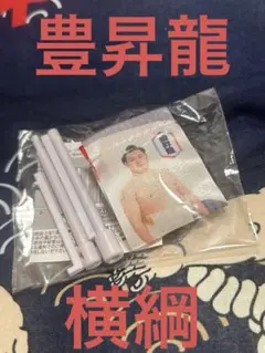 豊昇龍　相撲 大相撲ガチャ　ミニのぼりマグネット