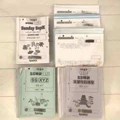 サピックス　SAPIX 理科　単科講座　フルセット❣️雪だるま 2025年最新】サピックスシールの人気アイテム - メルカリ
