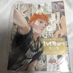 Sportiva ハイキュー　名言集　ビジュアルブック　スポルティーバ