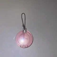 AMUSE ミニチュアチャーム