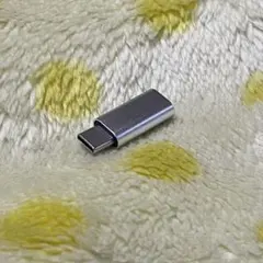 Lightning to Type-C 変換アダプター