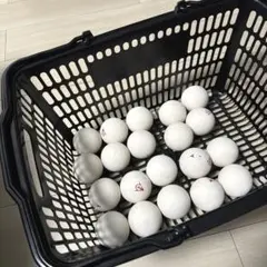 テニスボール 15個セット ホワイト