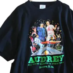 オードリーのオールナイトニッポン ビックシルエットTシャツ XL オードリーのオールナイトニッポン ビックシルエットTシャツ XL - メルカリ