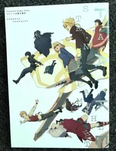 C108 Fate/strange Fake スタッフお疲れ様本 - メルカリ