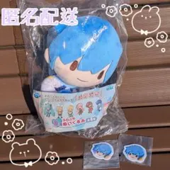 KAITO セガラッキーくじ B賞 ふわぷち　ぬいぐるみ　おまけ付き