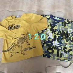 ハッカの薄手のトレーナー VANDASH長袖Tシャツ 恐竜プリント