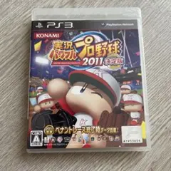 実況パワフルプロ野球2011決定版