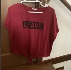 Tシャツ Lサイズ