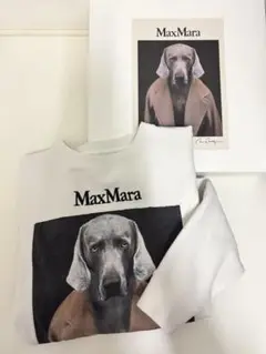 Max Mara バッココットンジャージースウェット　XS