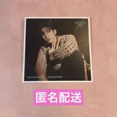 SEVENTEEN ひとりじゃない エントリーカード ウォヌ