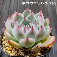 Paru様 リクエスト 4点 まとめ商品