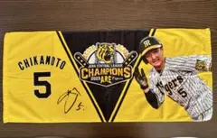 Item thumbnail for item 1adad02f-fdcf-4099-8af5-e9807aa488d3