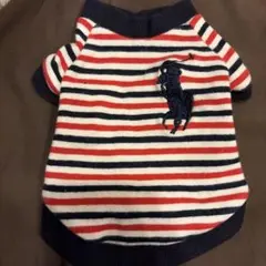 ポロラルフローレン ストライプ犬服