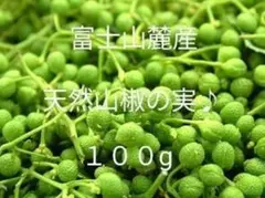 2026年最新】花山椒 100gの人気アイテム - メルカリ