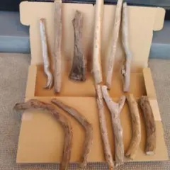 Item thumbnail for item d457f834-9319-45ab-bb8c-7d3bbf224352