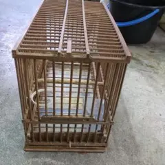 Item thumbnail for item 24ad22e7-1bbf-4f4f-a09f-a4c87a8ef7ad