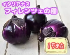 kc1219様 リクエスト 7点 まとめ商品