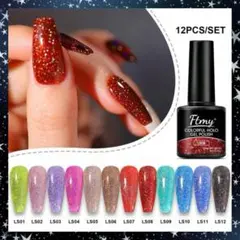 【12pcs】Ftmy＊カラフルホロ ポリッシュ カラージェル＊SP13